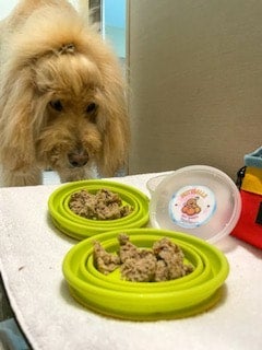 Muttballs snack pack Paw Patch Pastries